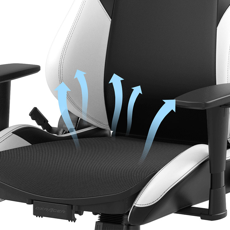 خرید صندلی DXRacer سری Drifting - سیاه و سفید - سایز L